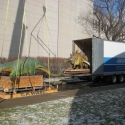 Moving a robotic dinosaur exhibit (Stage 1)